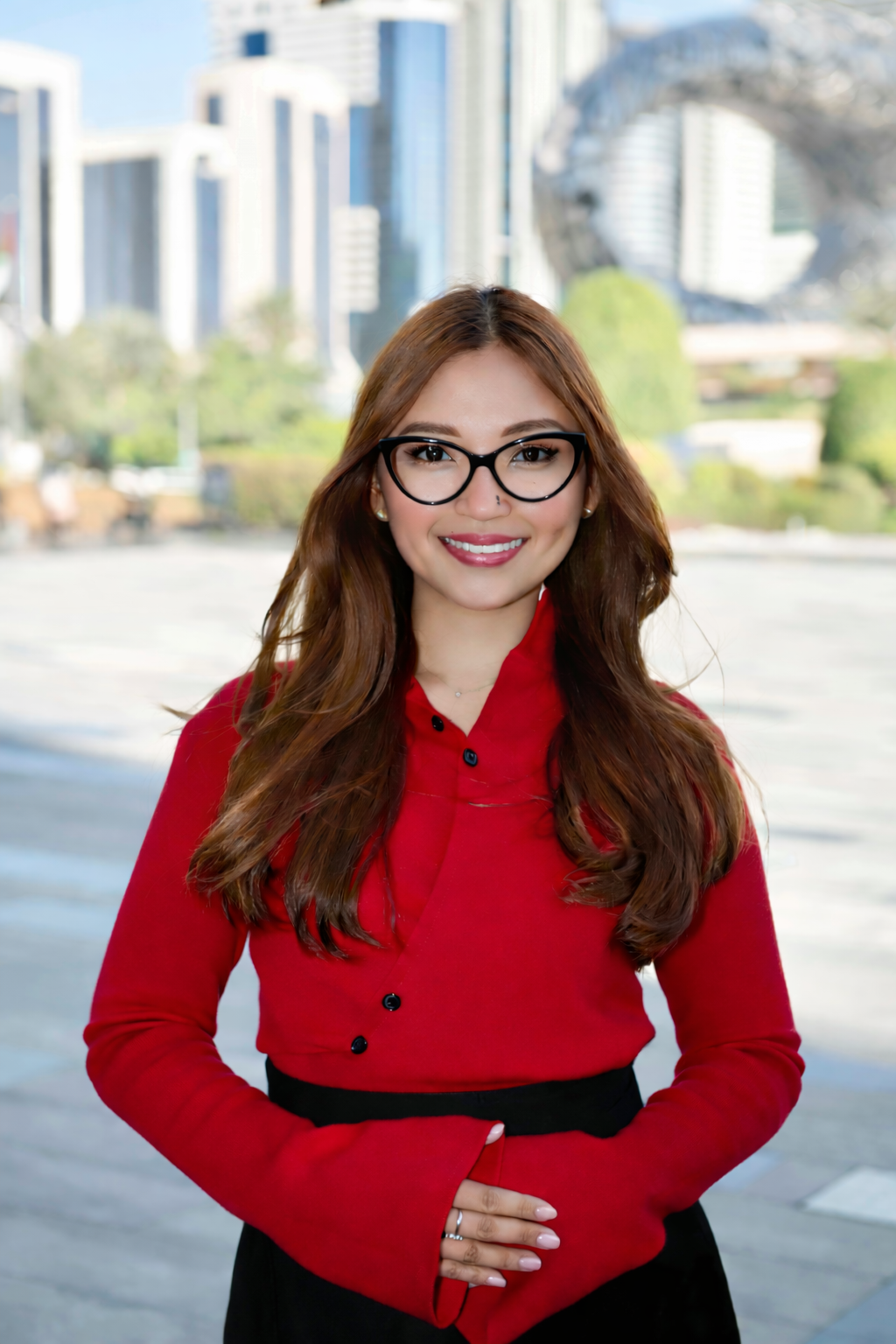 Ara Viaje, corporate structuring and operations professional